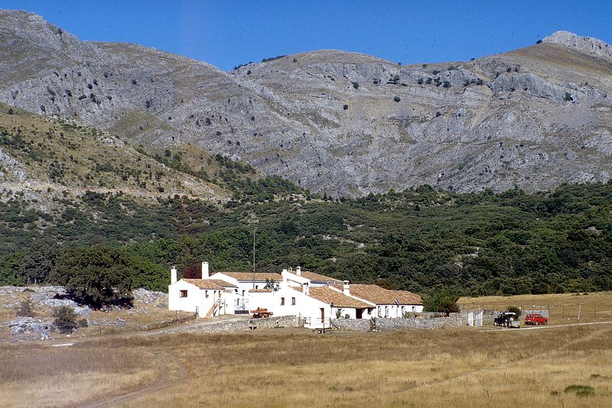 Sierra de las Nieves