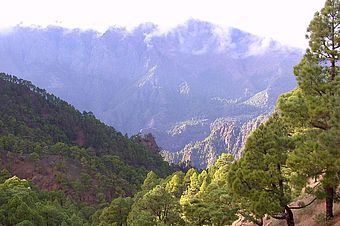 Cumbrecita, El Paso, La Palma