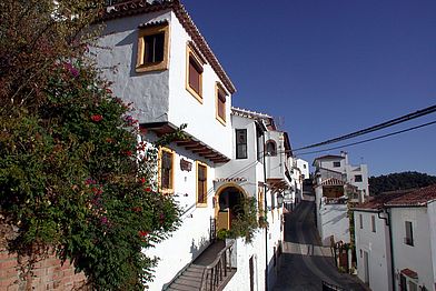 Ferienhaus Casa El Olivo, Serranía de Ronda, Andalusien