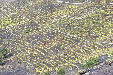 Fuencaliente, La Palma