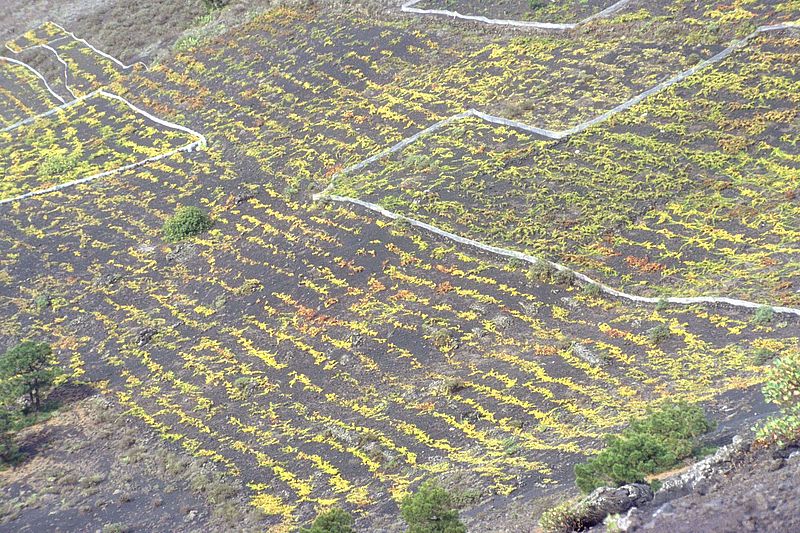 Fuencaliente, La Palma