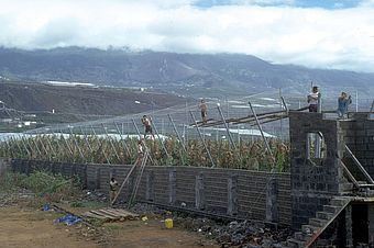 Los Llanos, La Palma